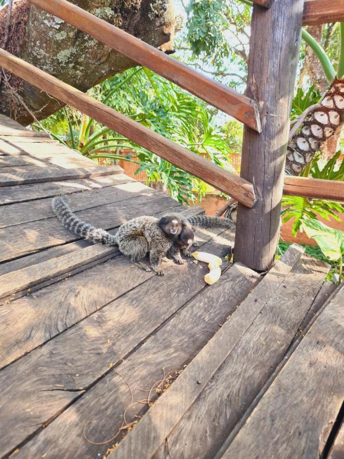 Hotel Fazenda Villa Vitta Sao Pedro  Dış mekan fotoğraf
